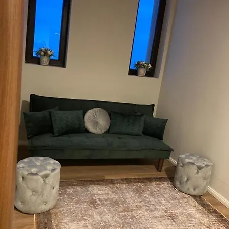 Affittacamere Pensiunea Poiana Viselor 4*