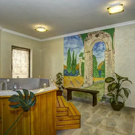 Pensiunea Poiana Viselor 4* Poiana Mărului