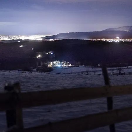 Pensiunea Poiana Viselor 4* Poiana Mărului