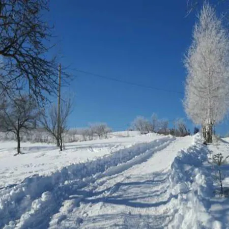 Pensiunea Poiana Viselor Poiana Mărului